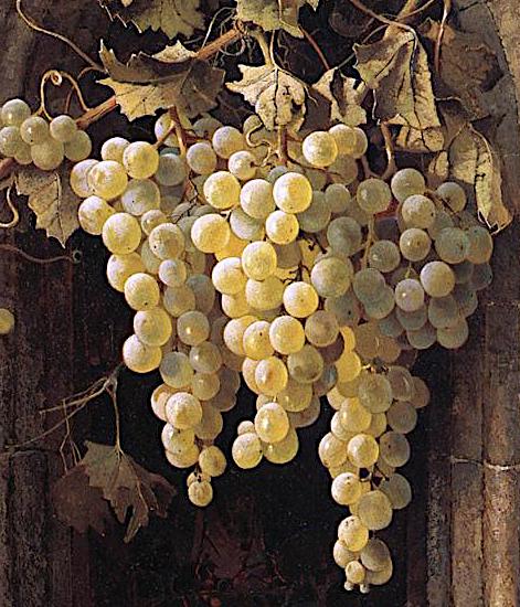 Edwin Deakin, Grapes against a Mission Wall, 1883